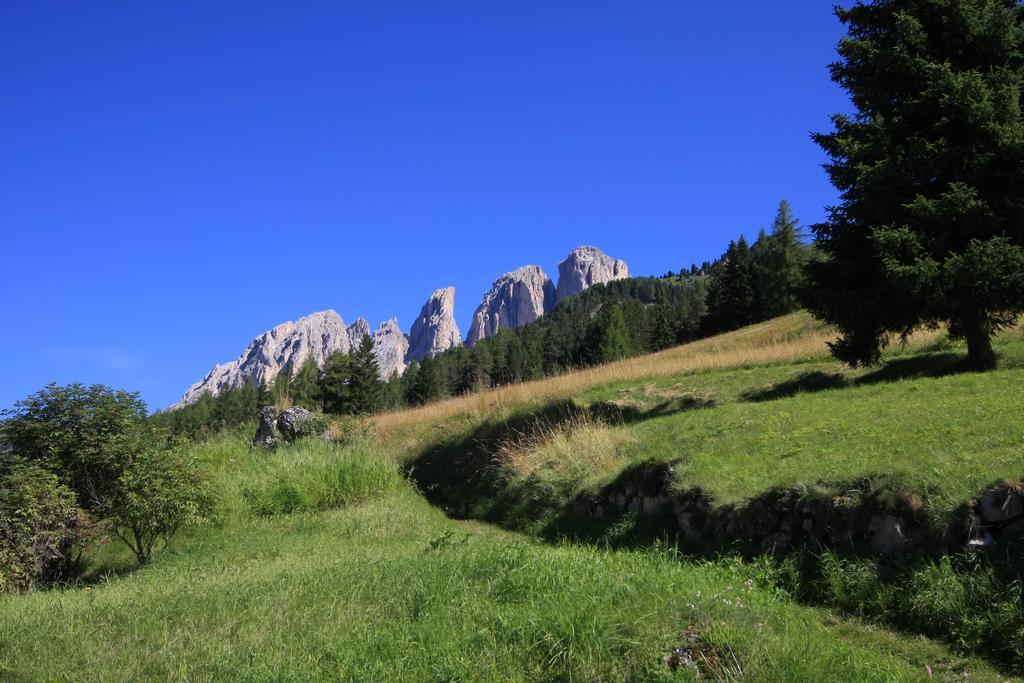 Chalet Pian Campitello di Fassa Zewnętrze zdjęcie