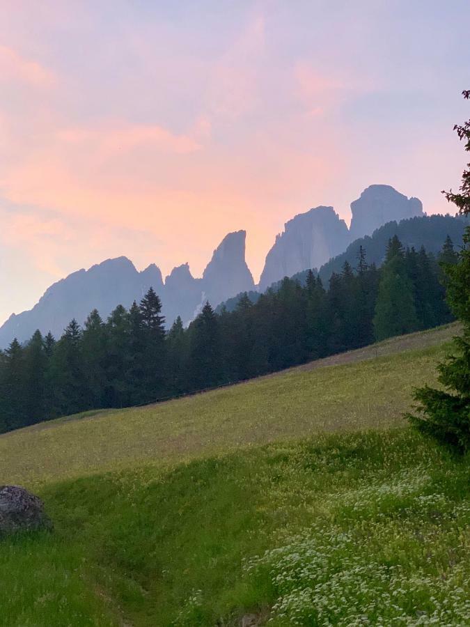 Chalet Pian Campitello di Fassa Zewnętrze zdjęcie