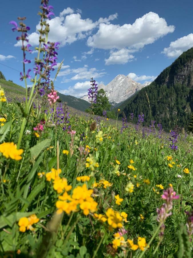 Chalet Pian Campitello di Fassa Zewnętrze zdjęcie